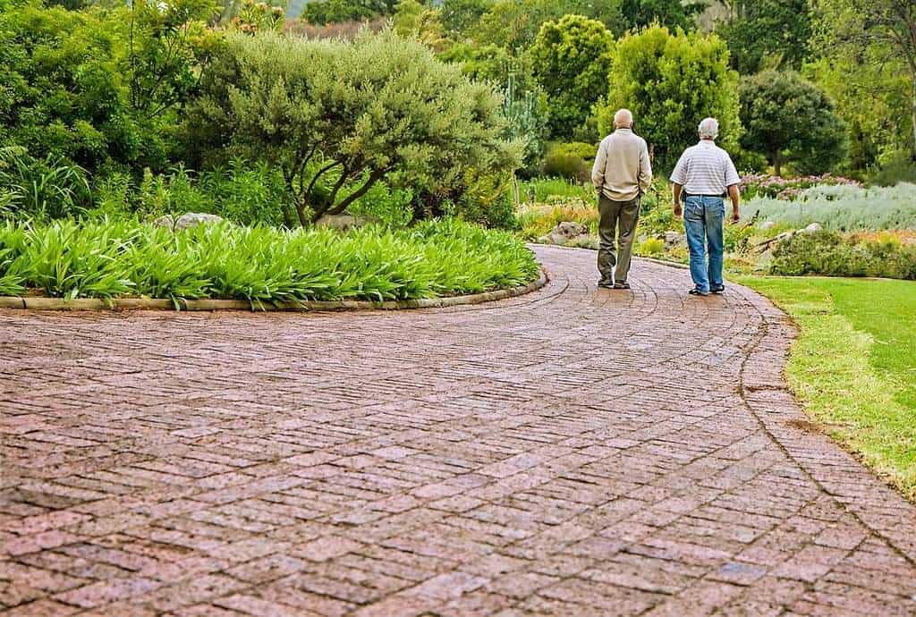 Zwei Männer gehen auf einem Pflastersteinweg in einem Garten spazieren