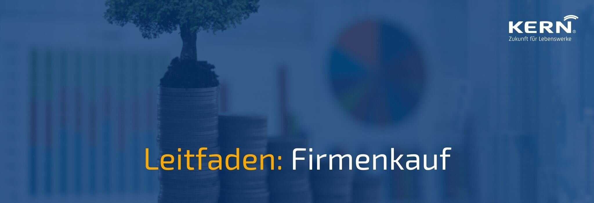 Beitragsbild zu Leitfaden für einen Firmenkauf