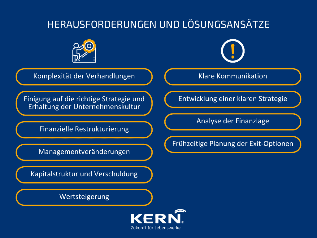 Grafik Herausforderungen und Lösungsansätze bei Private Equity Investitionen
