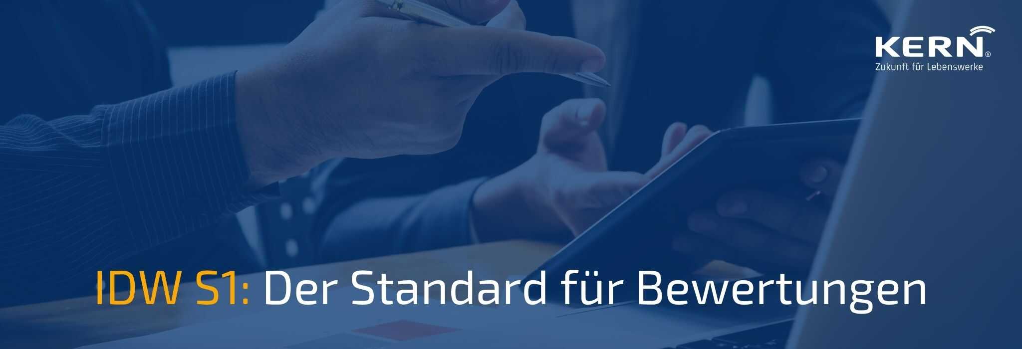 Beitragsbild zum Ratgeber Artikel für IDW S1 Standard