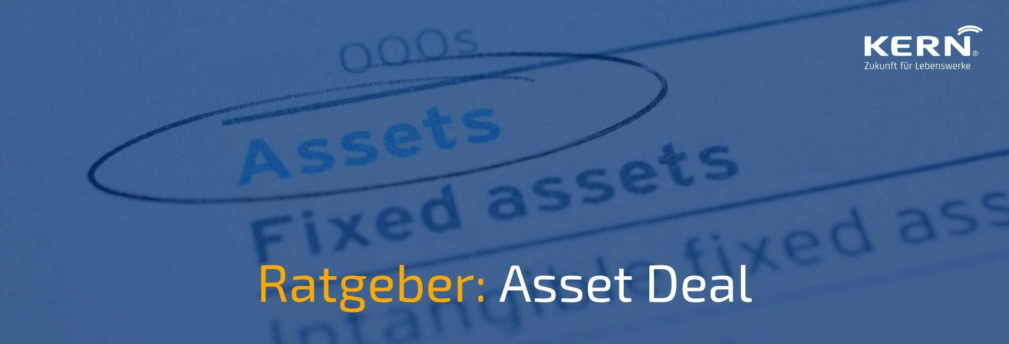 Beitragsbild zum Ratgeber für Asset Deals