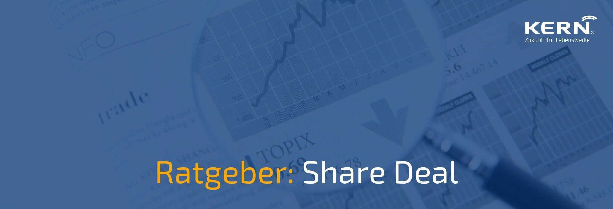 Beitragsbild zum Ratgeber für einen Share Deal